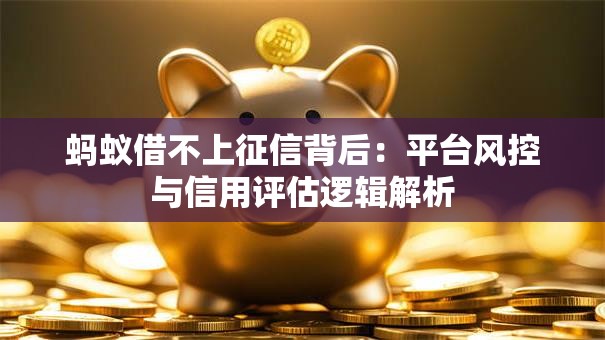 蚂蚁借不上征信背后:平台风控与信用评估逻辑解析 蚂蚁借不上征信背后:平台风控与信用评估逻辑解析