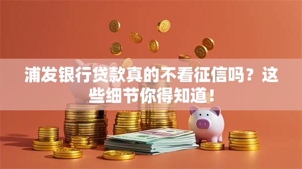 浦发银行贷款真的不看征信吗?这些细节你得知道! 浦发银行贷款真的不看征信吗?这些细节你得知道!
