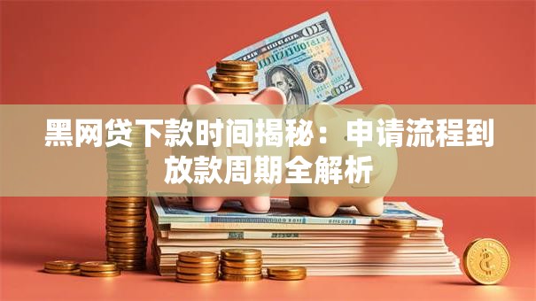 黑网贷下款时间揭秘：申请流程到放款周期全解析