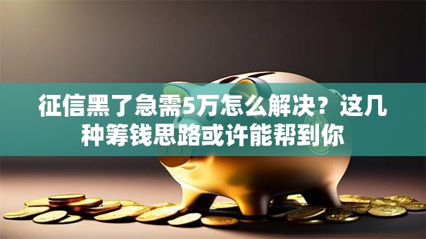 征信黑了急需5万怎么解决？这几种筹钱思路或许能帮到你