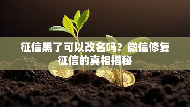 征信黑了可以改名吗?微信修复征信的真相揭秘 征信黑了可以改名吗?微信修复征信的真相揭秘