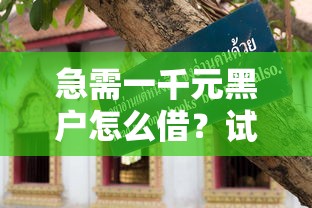 急需一千元黑户怎么借?试试这几个靠谱方法! 急需一千元黑户怎么借?试试这几个靠谱方法!