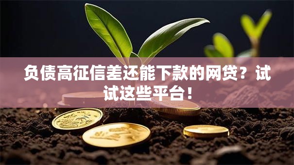 负债高征信差还能下款的网贷?试试这些平台! 负债高征信差还能下款的网贷?试试这些平台!