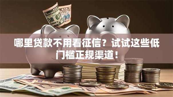 哪里贷款不用看征信?试试这些低门槛正规渠道! 哪里贷款不用看征信?试试这些低门槛正规渠道!