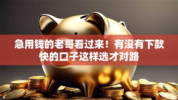 急用钱的老哥看过来！有没有下款快的口子这样选才对路