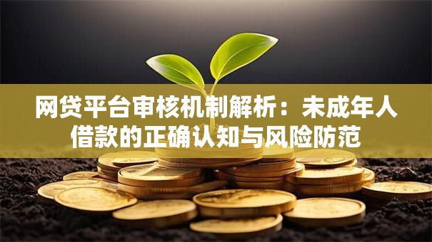 网贷平台审核机制解析：未成年人借款的正确认知与风险防范