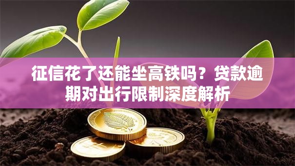 征信花了还能坐高铁吗？贷款逾期对出行限制深度解析