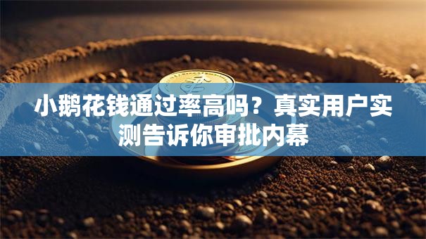 小鹅花钱通过率高吗?真实用户实测告诉你审批内幕 小鹅花钱通过率高吗?真实用户实测告诉你审批内幕