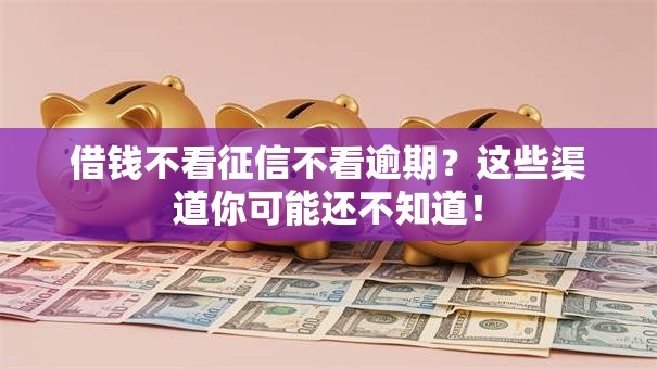 借钱不看征信不看逾期?这些渠道你可能还不知道! 借钱不看征信不看逾期?这些渠道你可能还不知道!
