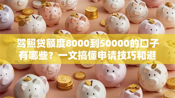 驾照贷额度8000到50000的口子有哪些？一文搞懂申请技巧和避坑指南