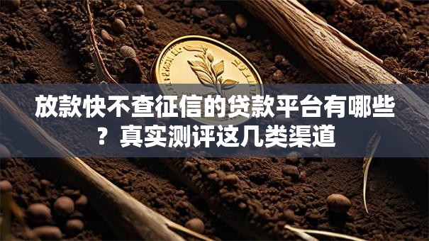 放款快不查征信的贷款平台有哪些？真实测评这几类渠道
