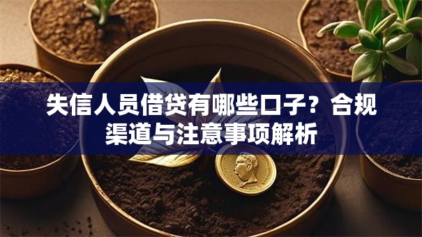 失信人员借贷有哪些口子？合规渠道与注意事项解析