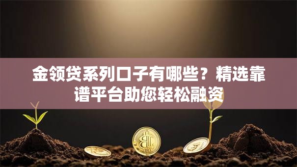 金领贷系列口子有哪些？精选靠谱平台助您轻松融资