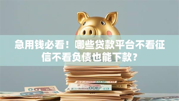 急用钱必看！哪些贷款平台不看征信不看负债也能下款？