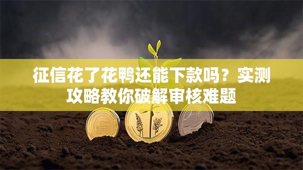 征信花了花鸭还能下款吗?实测攻略教你破解审核难题 征信花了花鸭还能下款吗?实测攻略教你破解审核难题