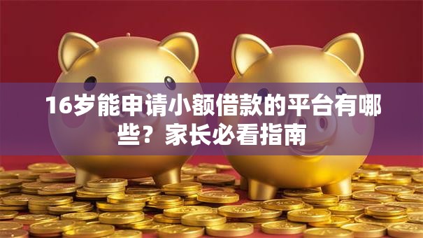 16岁能申请小额借款的平台有哪些?家长必看指南 16岁能申请小额借款的平台有哪些?家长必看指南