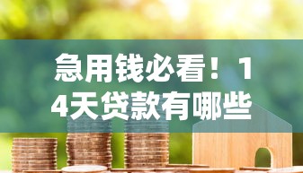 急用钱必看!14天贷款有哪些靠谱口子?快速到账方案解析 急用钱必看!14天贷款有哪些靠谱口子?快速到账方案解析