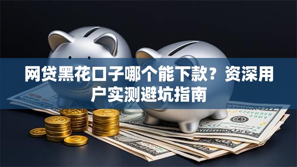 网贷黑花口子哪个能下款？资深用户实测避坑指南