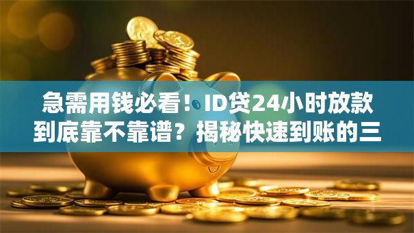 急需用钱必看!ID贷24小时放款到底靠不靠谱?揭秘快速到账的三大技巧 急需用钱必看!ID贷24小时放款到底靠不靠谱?揭秘快速到账的三大技巧