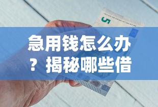 急用钱怎么办?揭秘哪些借钱软件不查征信也能快速下款 急用钱怎么办?揭秘哪些借钱软件不查征信也能快速下款
