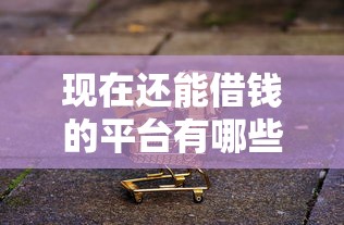 现在还能借钱的平台有哪些?这五类靠谱渠道别错过! 现在还能借钱的平台有哪些?这五类靠谱渠道别错过!