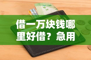 借一万块钱哪里好借?急用钱必看!立马到账不看征信的渠道推荐 借一万块钱哪里好借?急用钱必看!立马到账不看征信的渠道推荐