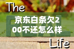 京东白条欠200不还怎么样?真实后果与解决妙招 京东白条欠200不还怎么样?真实后果与解决妙招