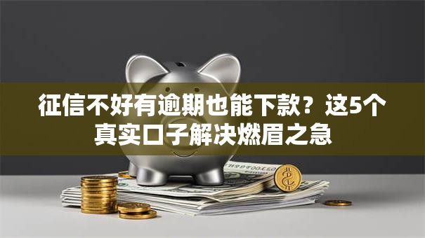 征信不好有逾期也能下款？这5个真实口子解决燃眉之急