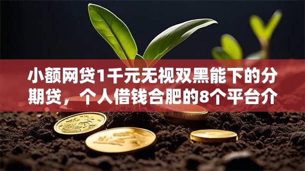 小额网贷1千元无视双黑能下的分期贷，个人借钱合肥的8个平台介绍