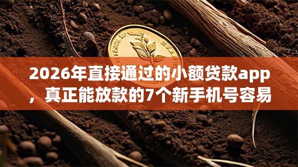 2026年直接通过的小额贷款app，真正能放款的7个新手机号容易下款的软件推荐