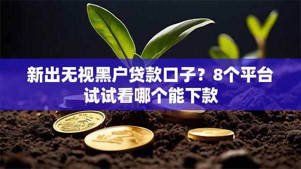 新出无视黑户贷款口子？8个平台试试看哪个能下款
