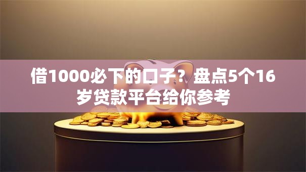 借1000必下的口子？盘点5个16岁贷款平台给你参考