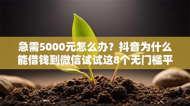 急需5000元怎么办?抖音为什么能借钱到微信试试这8个无门槛平台 急需5000元怎么办?抖音为什么能借钱到微信试试这8个无门槛平台