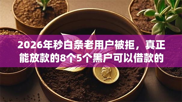 2026年秒白条老用户被拒，真正能放款的8个5个黑户可以借款的网贷app推荐