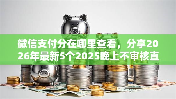 微信支付分在哪里查看，分享2026年最新5个2025晚上不审核直接放款口子