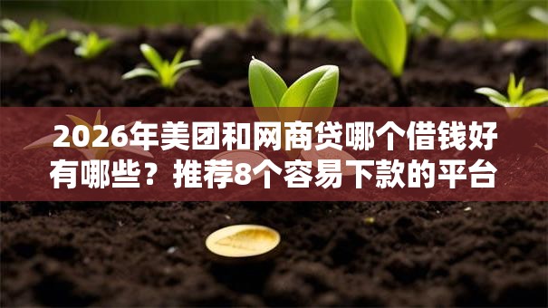 2026年美团和网商贷哪个借钱好有哪些？推荐8个容易下款的平台