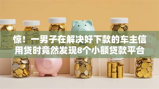 惊！一男子在解决好下款的车主信用贷时竟然发现8个小额贷款平台排名不分先后，事后分享了出来