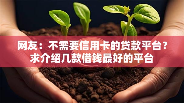 网友：不需要信用卡的贷款平台？求介绍几款借钱最好的平台