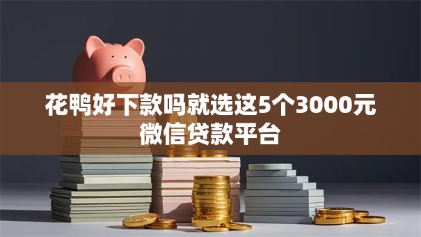 花鸭好下款吗就选这5个3000元微信贷款平台