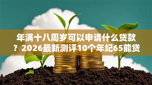 年满十八周岁可以申请什么贷款？2026最新测评10个年纪65能贷款的平台
