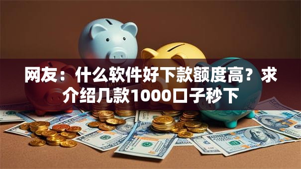 网友：什么软件好下款额度高？求介绍几款1000口子秒下