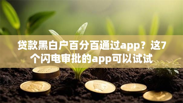 贷款黑白户百分百通过app？这7个闪电审批的app可以试试