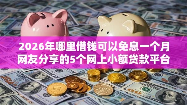 2026年哪里借钱可以免息一个月网友分享的5个网上小额贷款平台好我觉得不错！