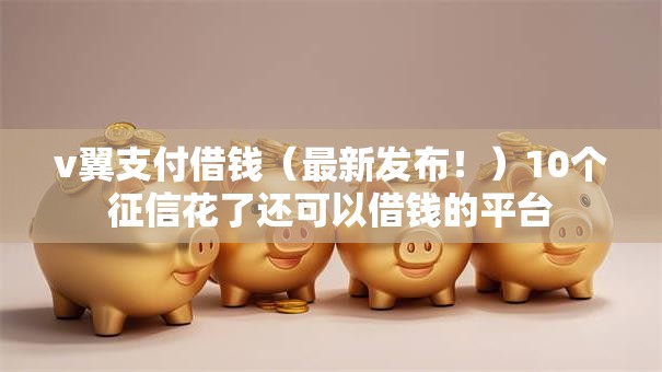 v翼支付借钱（最新发布！）10个征信花了还可以借钱的平台