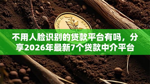不用人脸识别的贷款平台有吗，分享2026年最新7个贷款中介平台