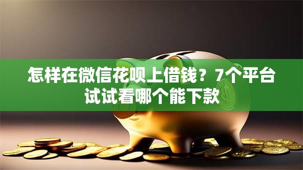 怎样在微信花呗上借钱?7个平台试试看哪个能下款 怎样在微信花呗上借钱?7个平台试试看哪个能下款