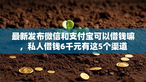 最新发布微信和支付宝可以借钱嘛，私人借钱6千元有这5个渠道