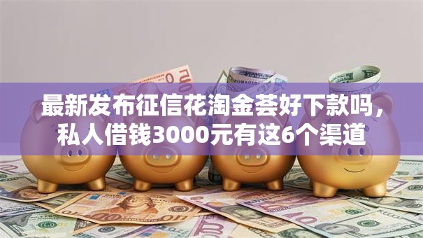 最新发布征信花淘金荟好下款吗，私人借钱3000元有这6个渠道