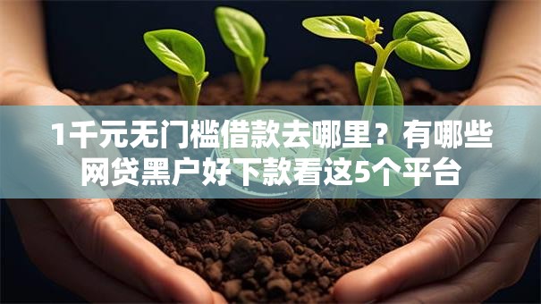 1千元无门槛借款去哪里?有哪些网贷黑户好下款看这5个平台 1千元无门槛借款去哪里?有哪些网贷黑户好下款看这5个平台