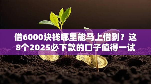 借6000块钱哪里能马上借到？这8个2025必下款的口子值得一试
